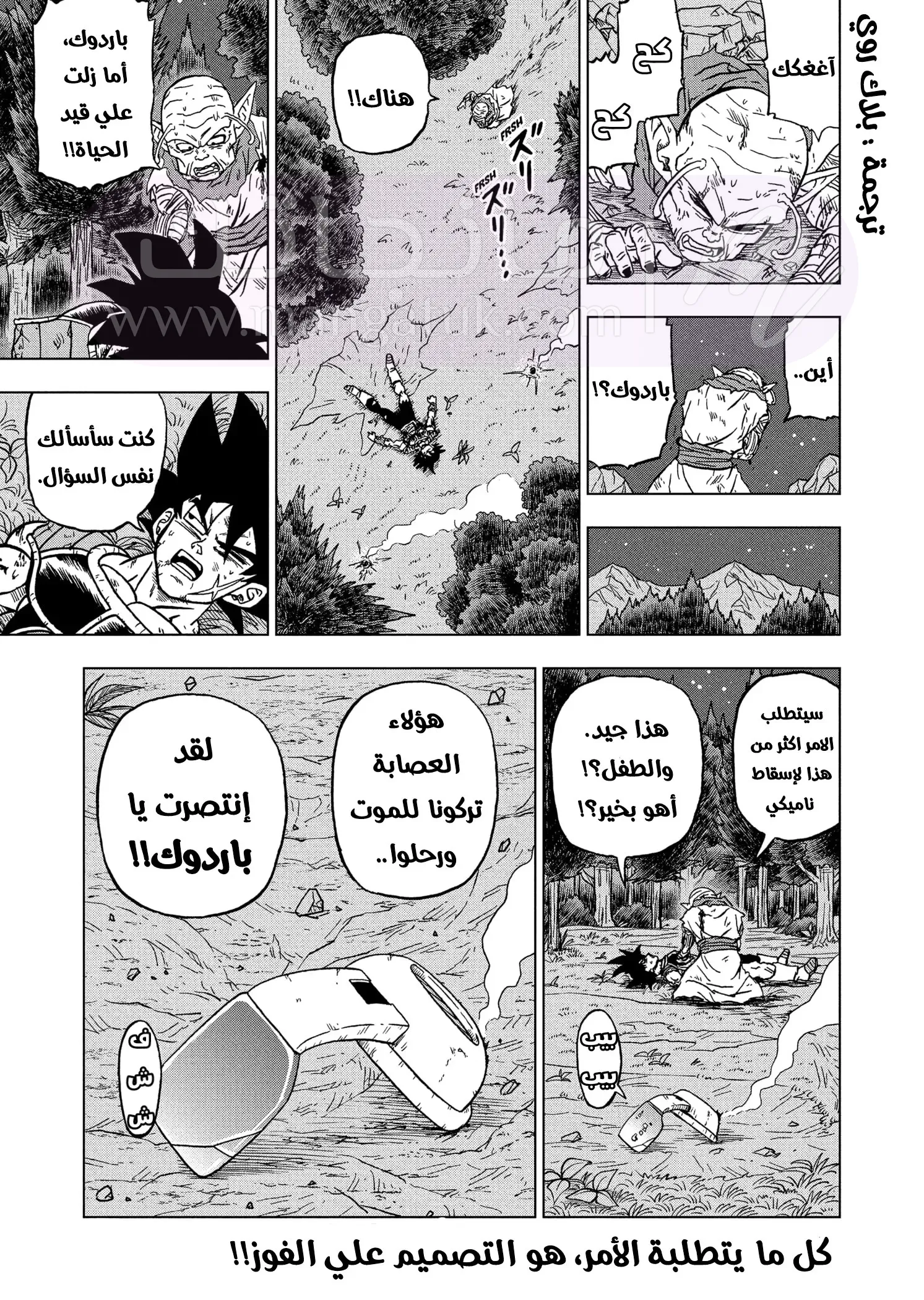 الصفحة 47