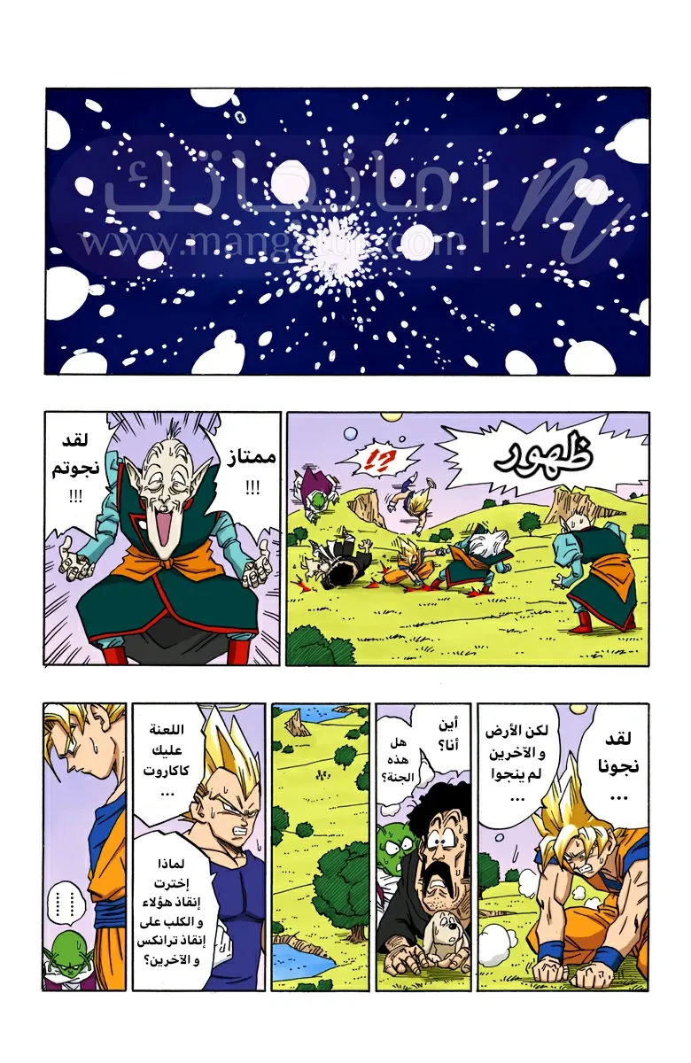 الصفحة 13