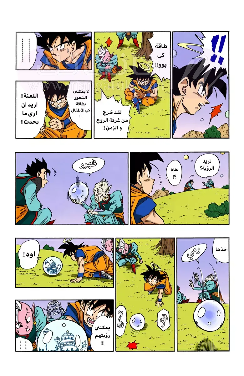 الصفحة 3
