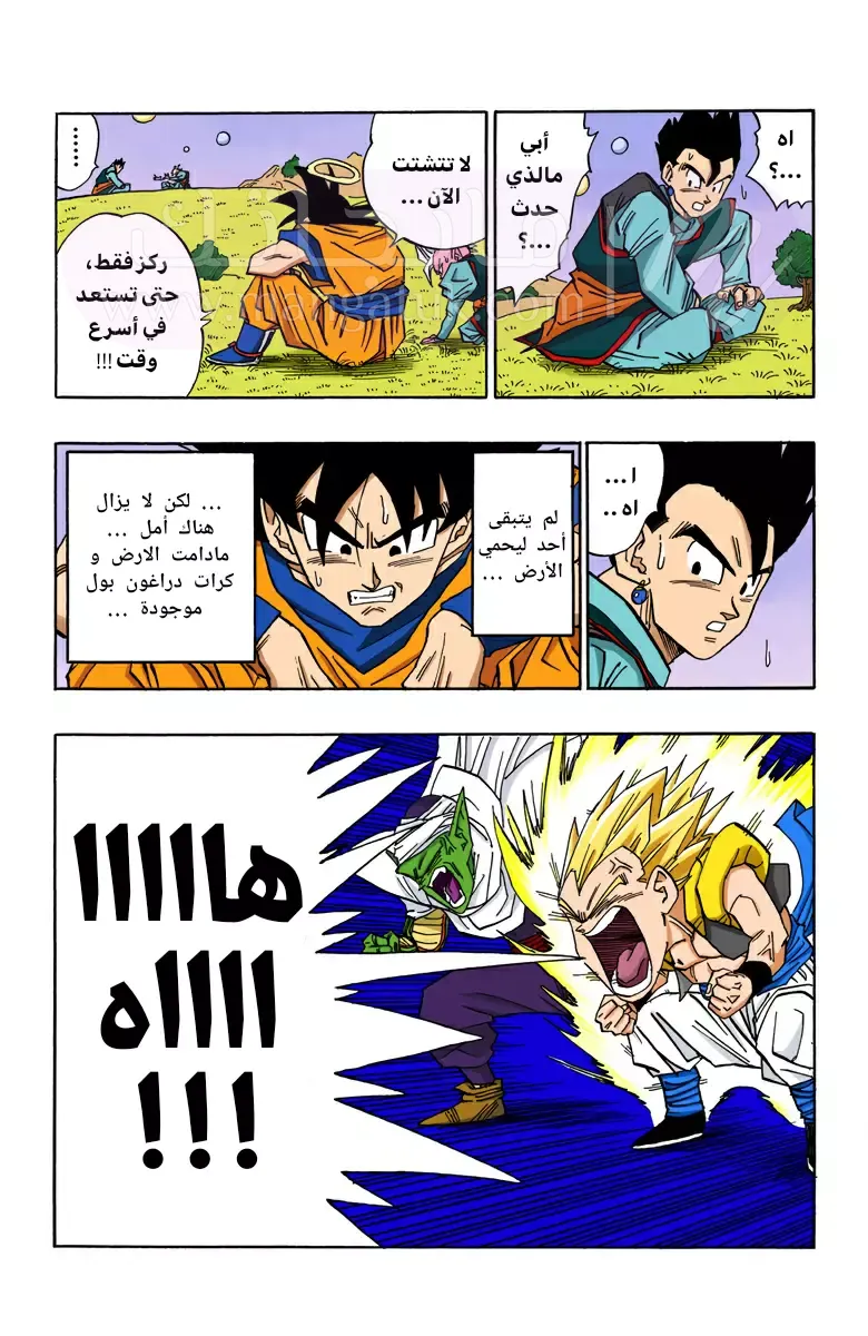 الصفحة 6
