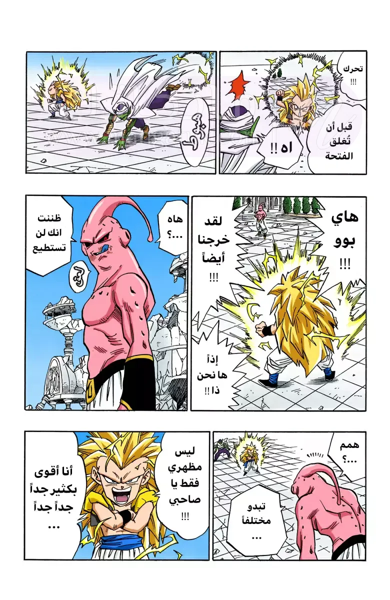 الصفحة 11