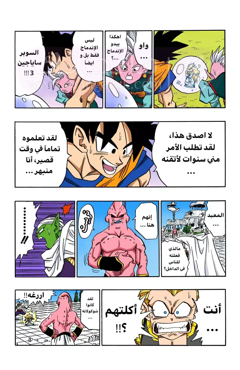 الصفحة 12