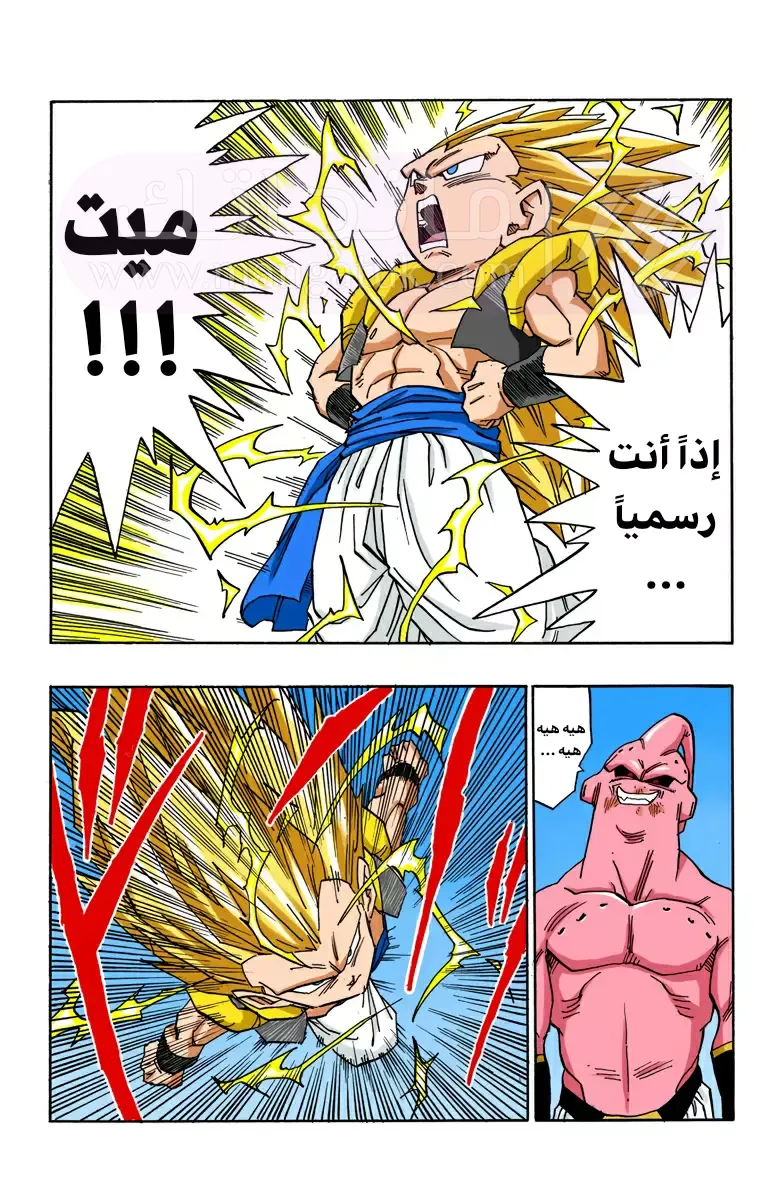 الصفحة 13