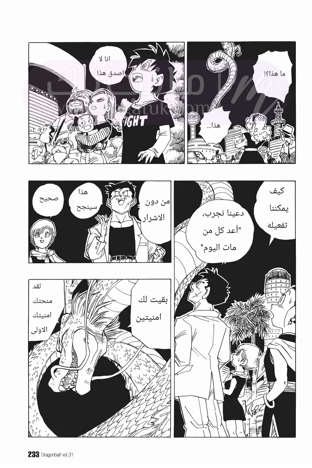 الصفحة 11