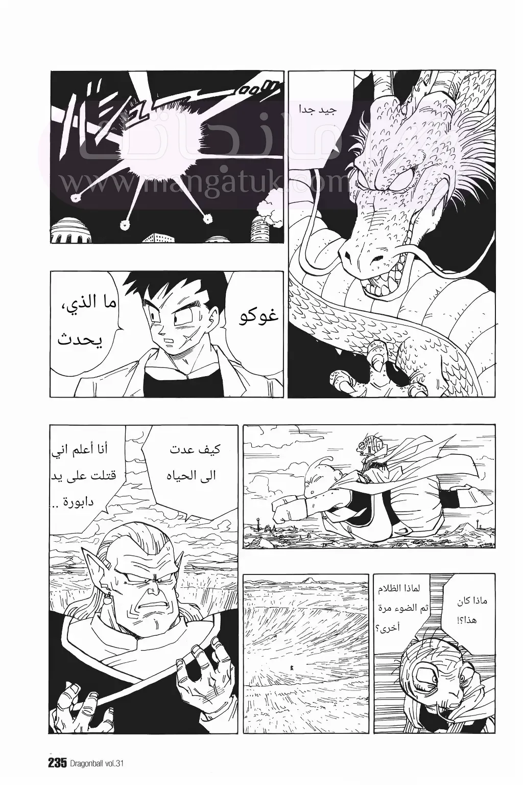 الصفحة 13