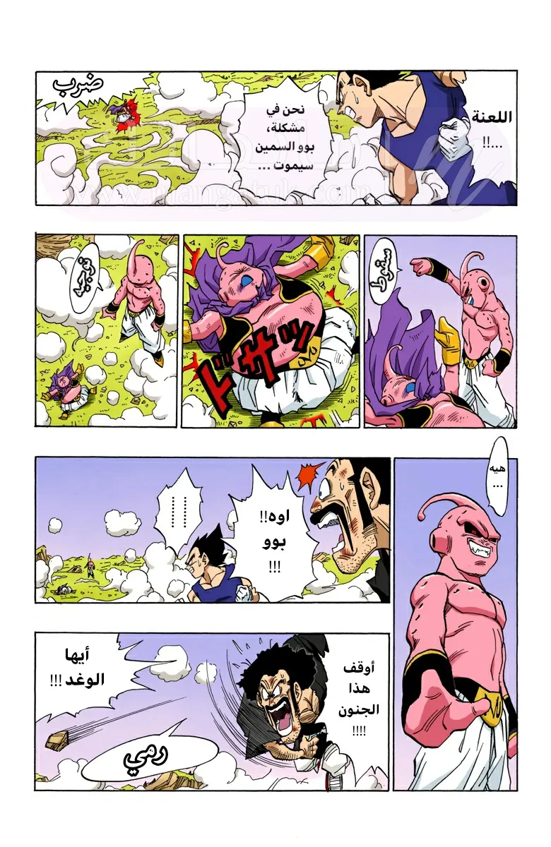 الصفحة 3