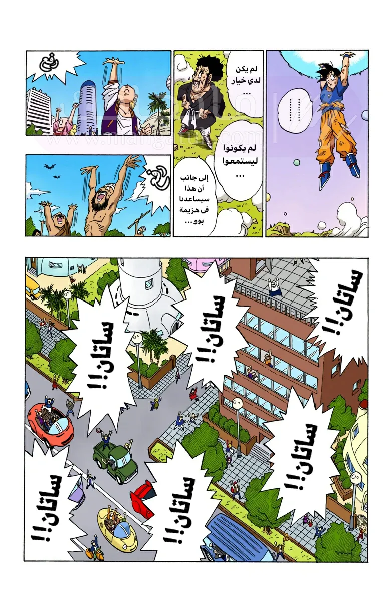 الصفحة 10