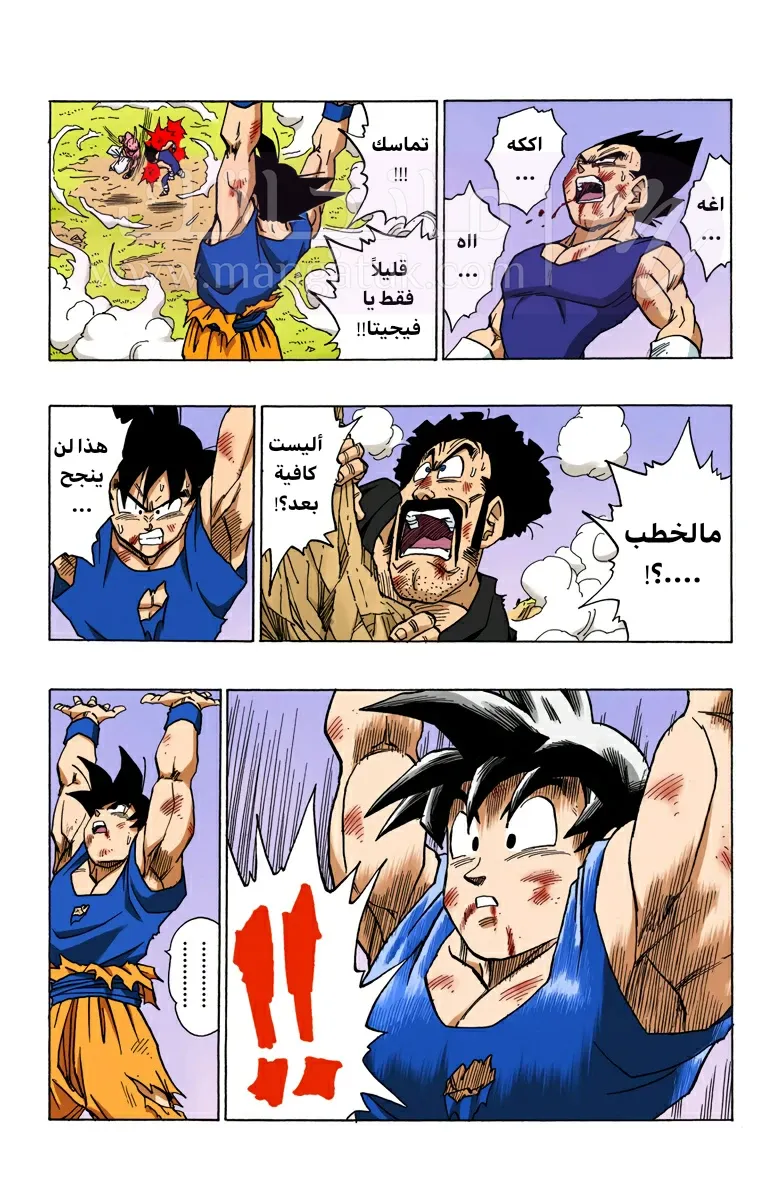 الصفحة 12