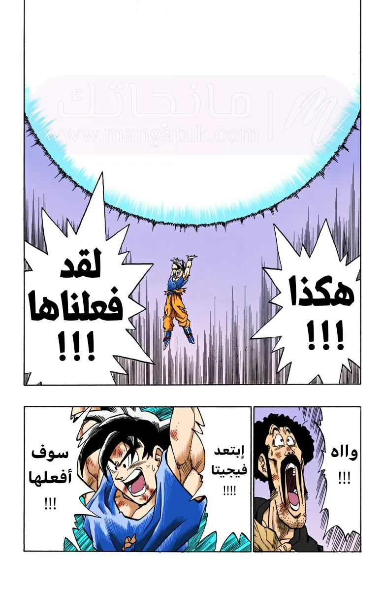 الصفحة 13