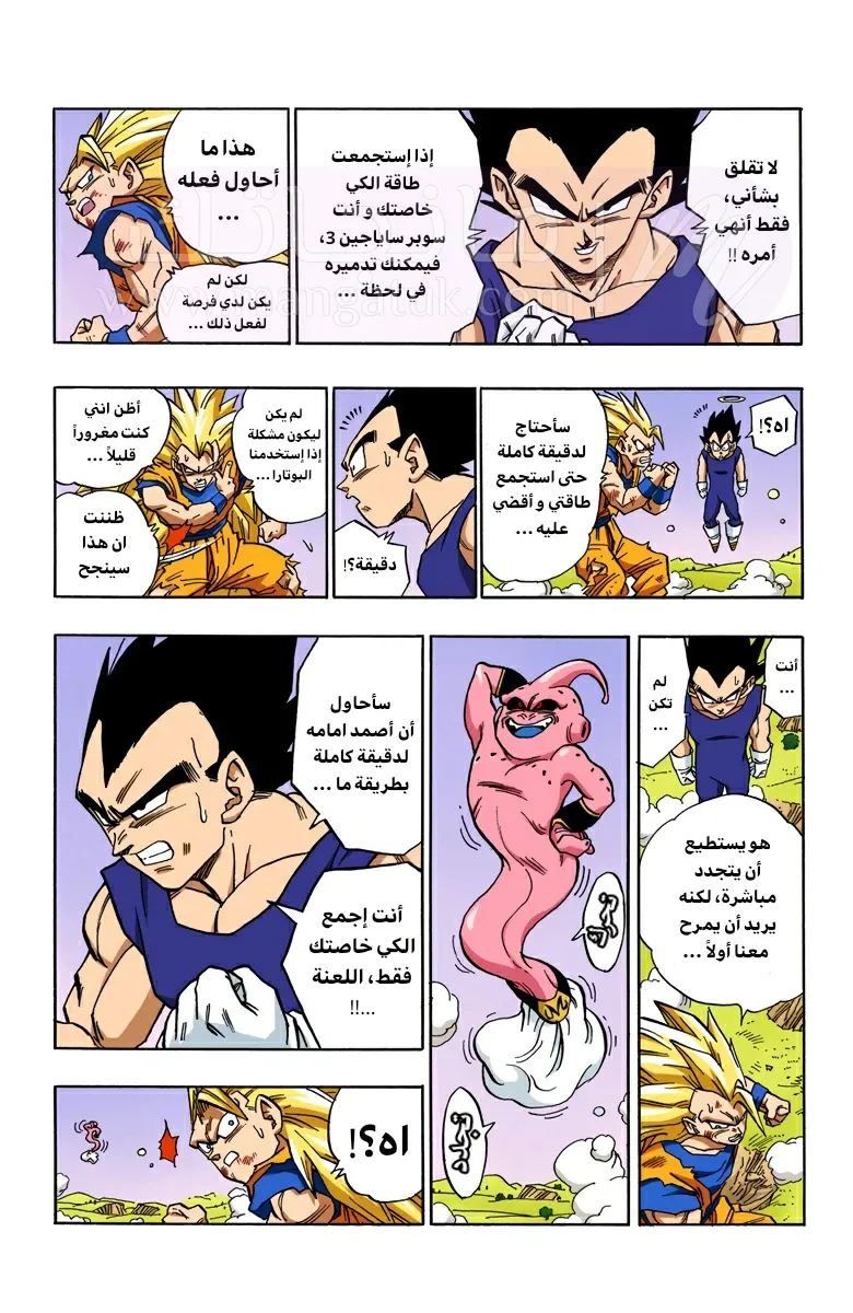 الصفحة 13