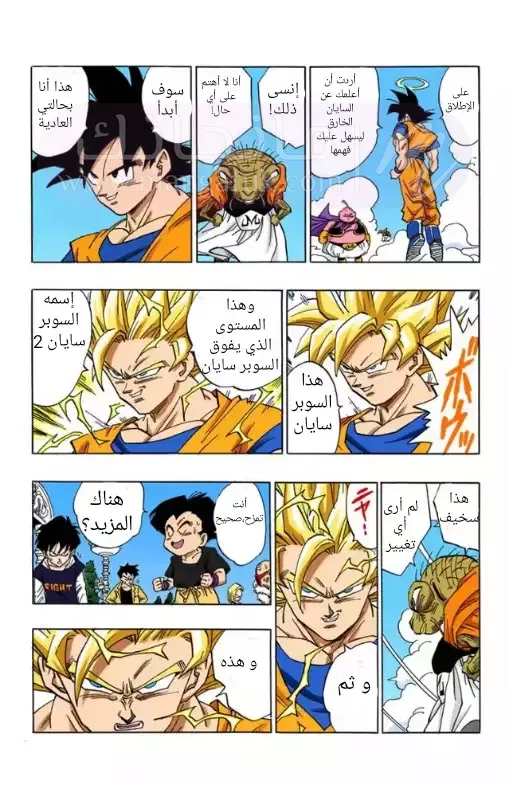 الصفحة 3