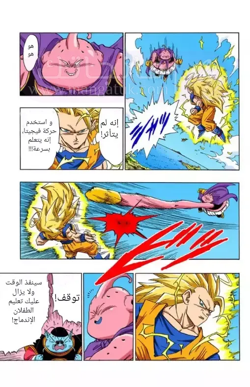 الصفحة 12