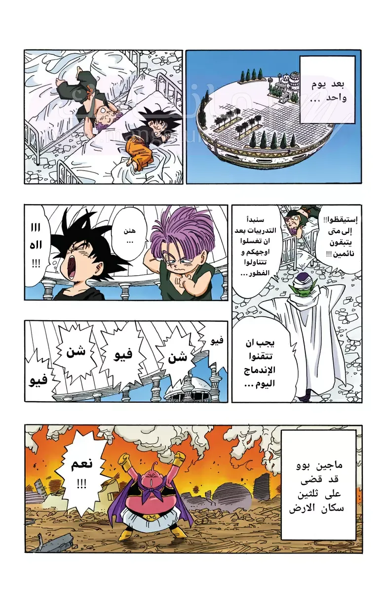 الصفحة 6