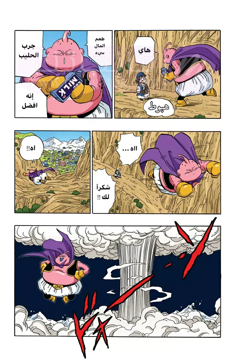 الصفحة 11