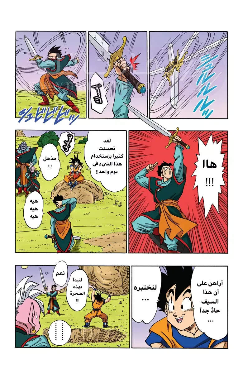 الصفحة 12