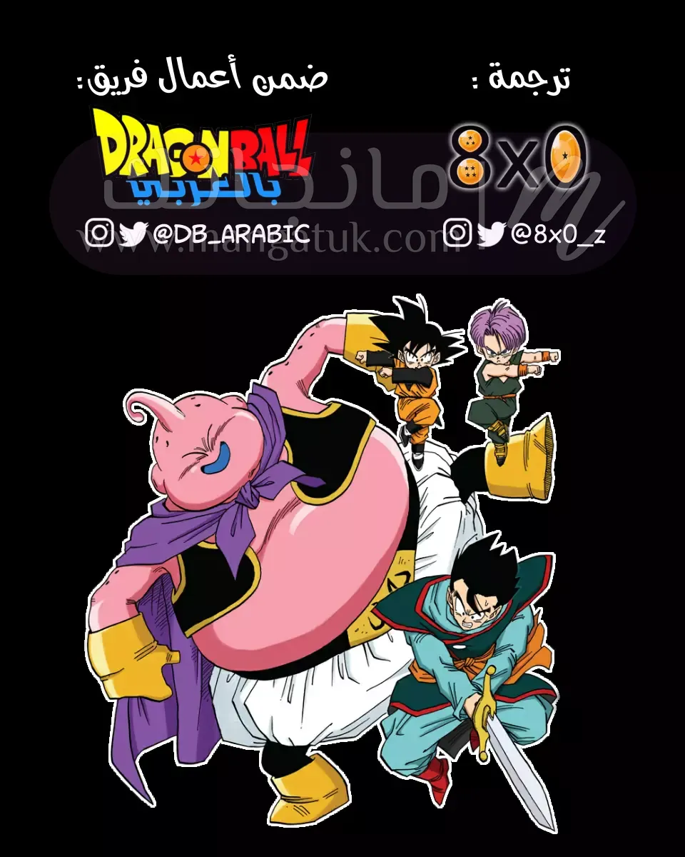 الصفحة 13