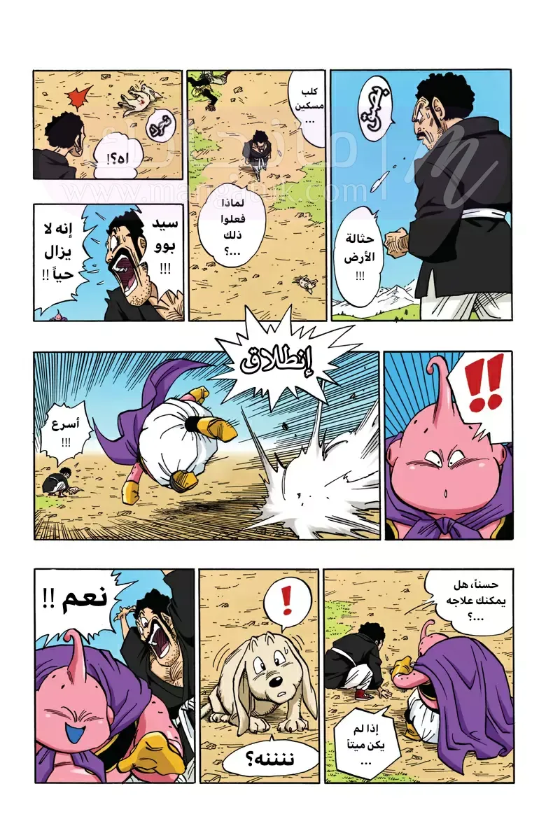 الصفحة 8