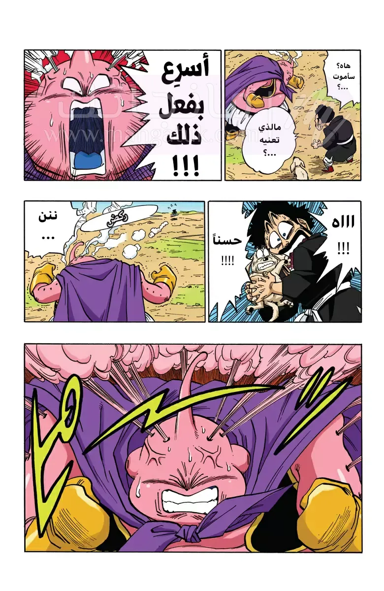 الصفحة 12