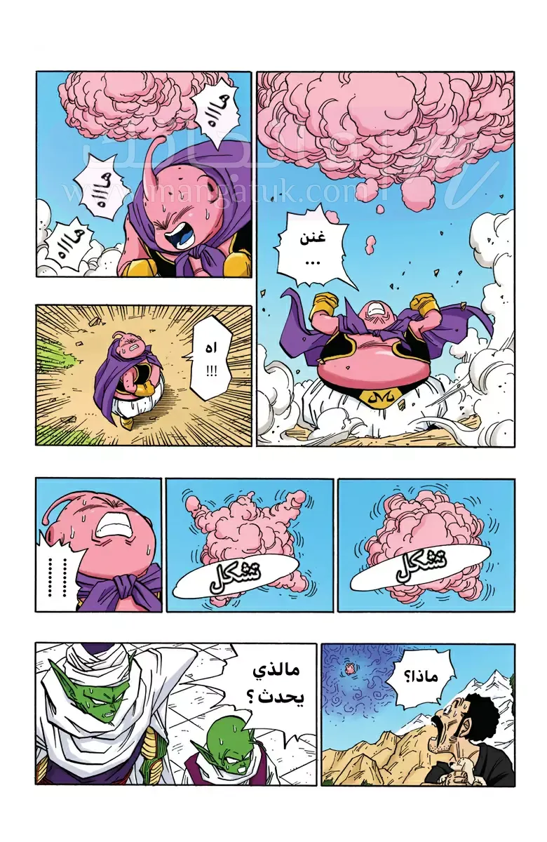 الصفحة 13