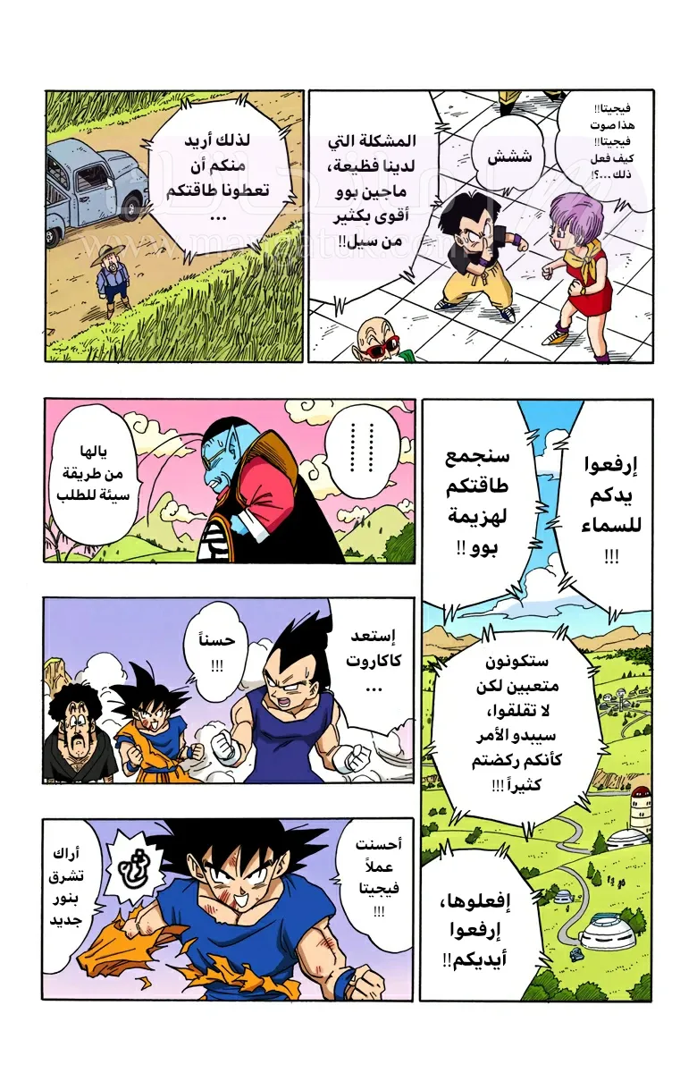 الصفحة 11