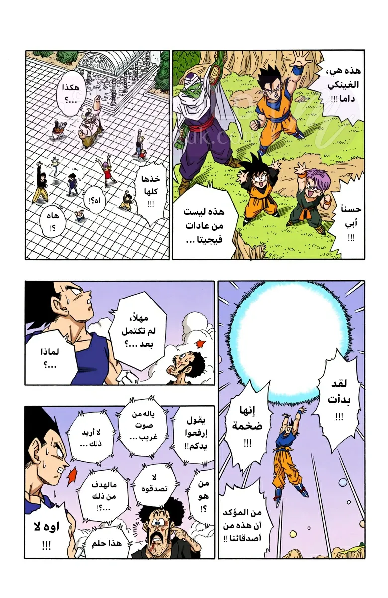 الصفحة 13