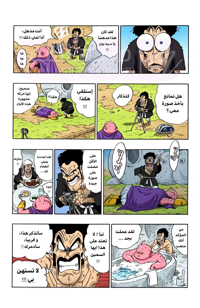 الصفحة 13