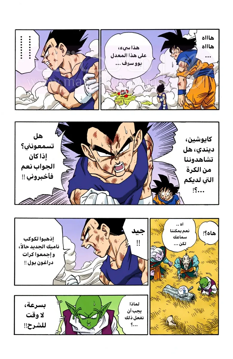 الصفحة 6
