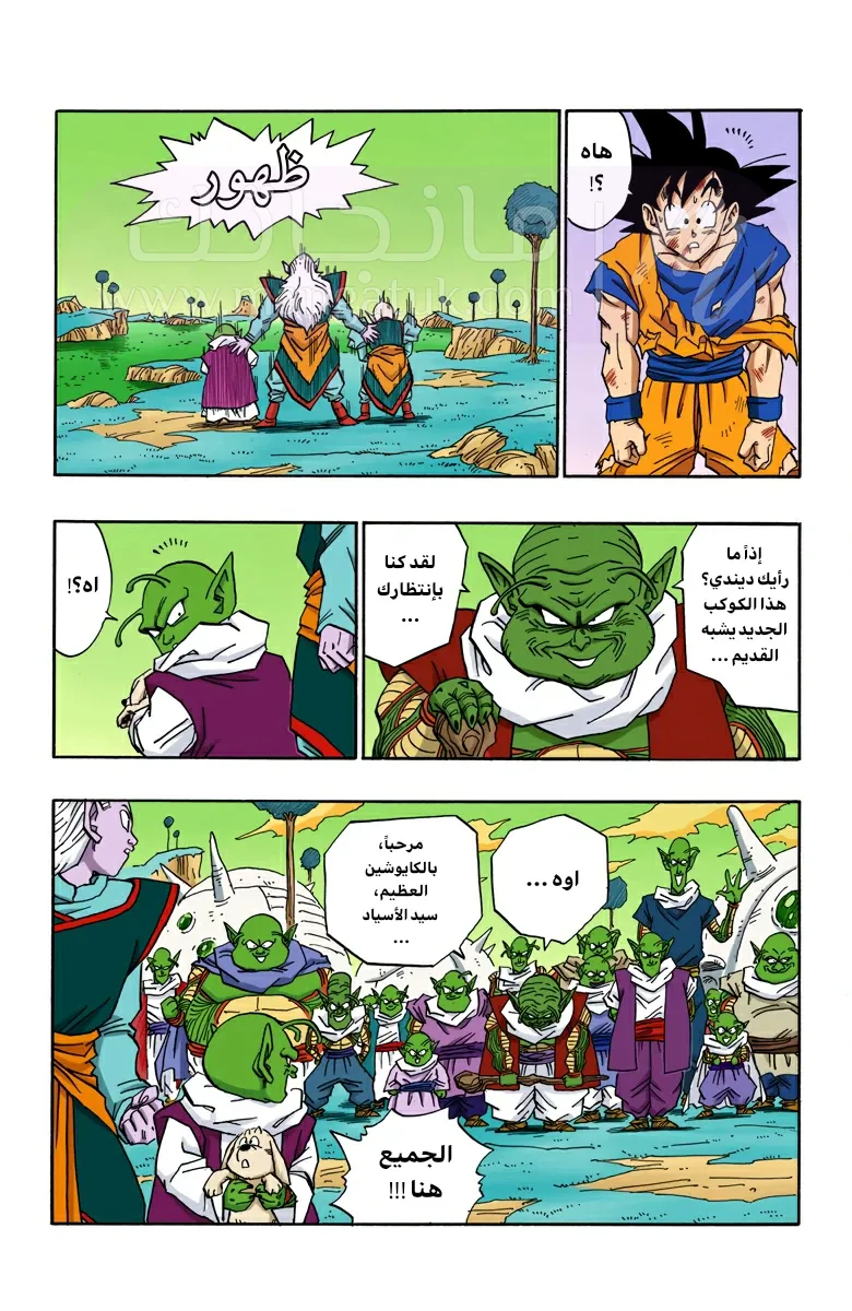 الصفحة 8