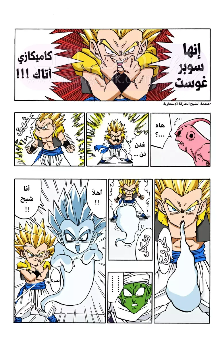 الصفحة 13