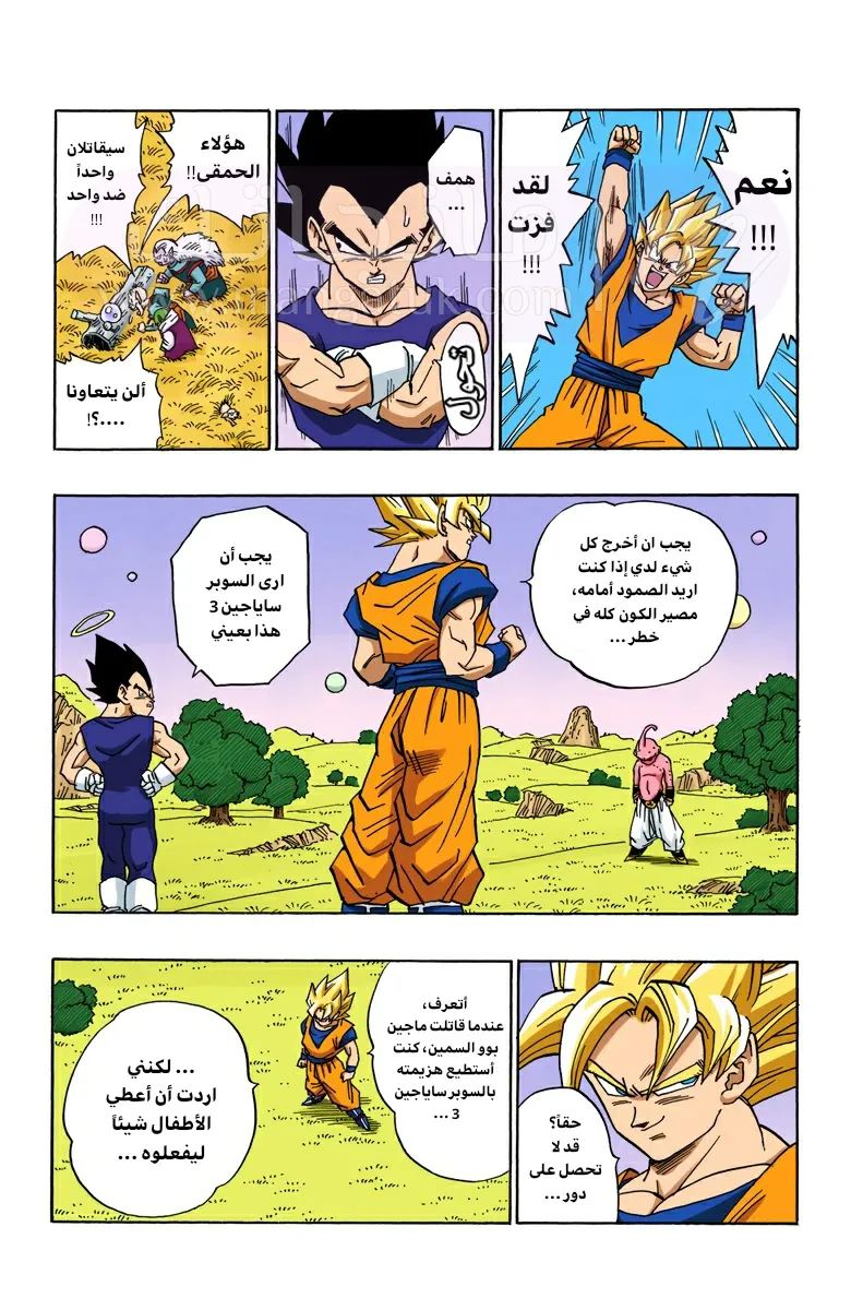 الصفحة 11