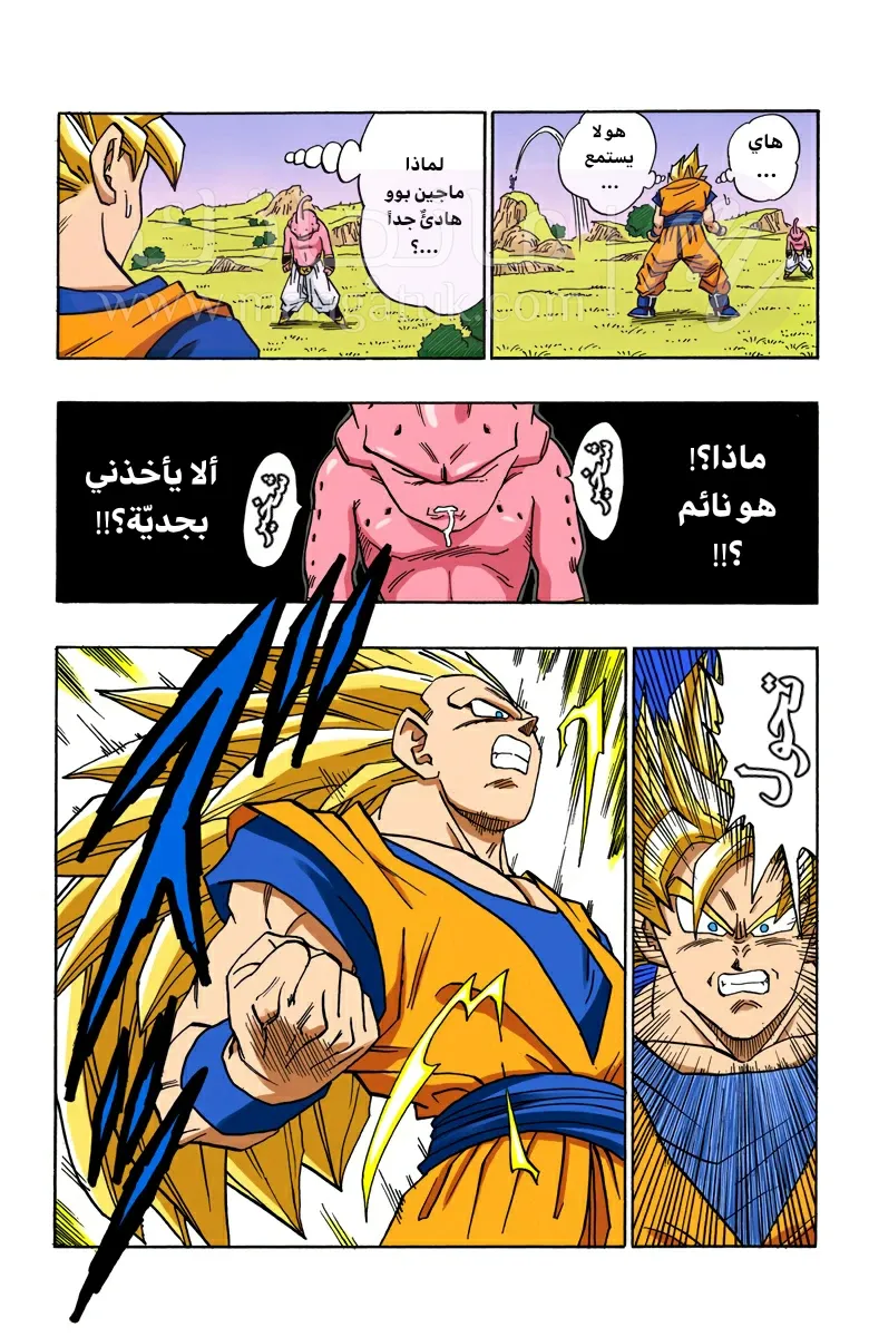 الصفحة 12