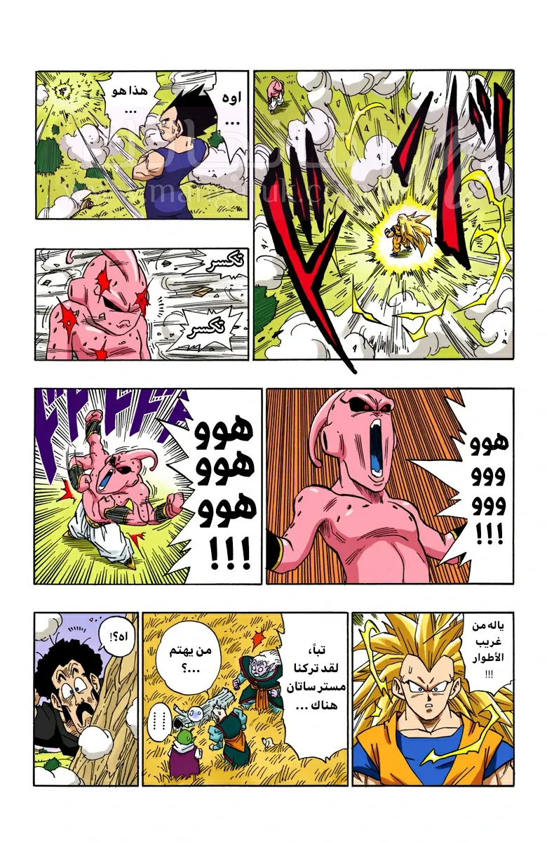 الصفحة 13