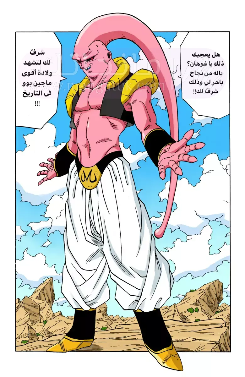 الصفحة 11