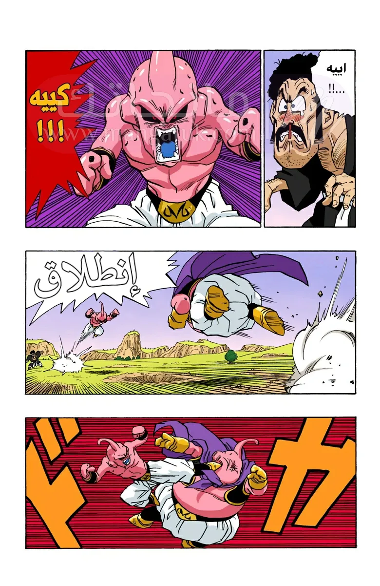 الصفحة 8