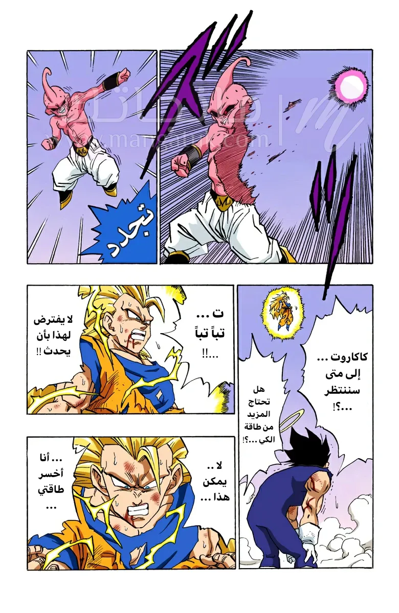 الصفحة 11