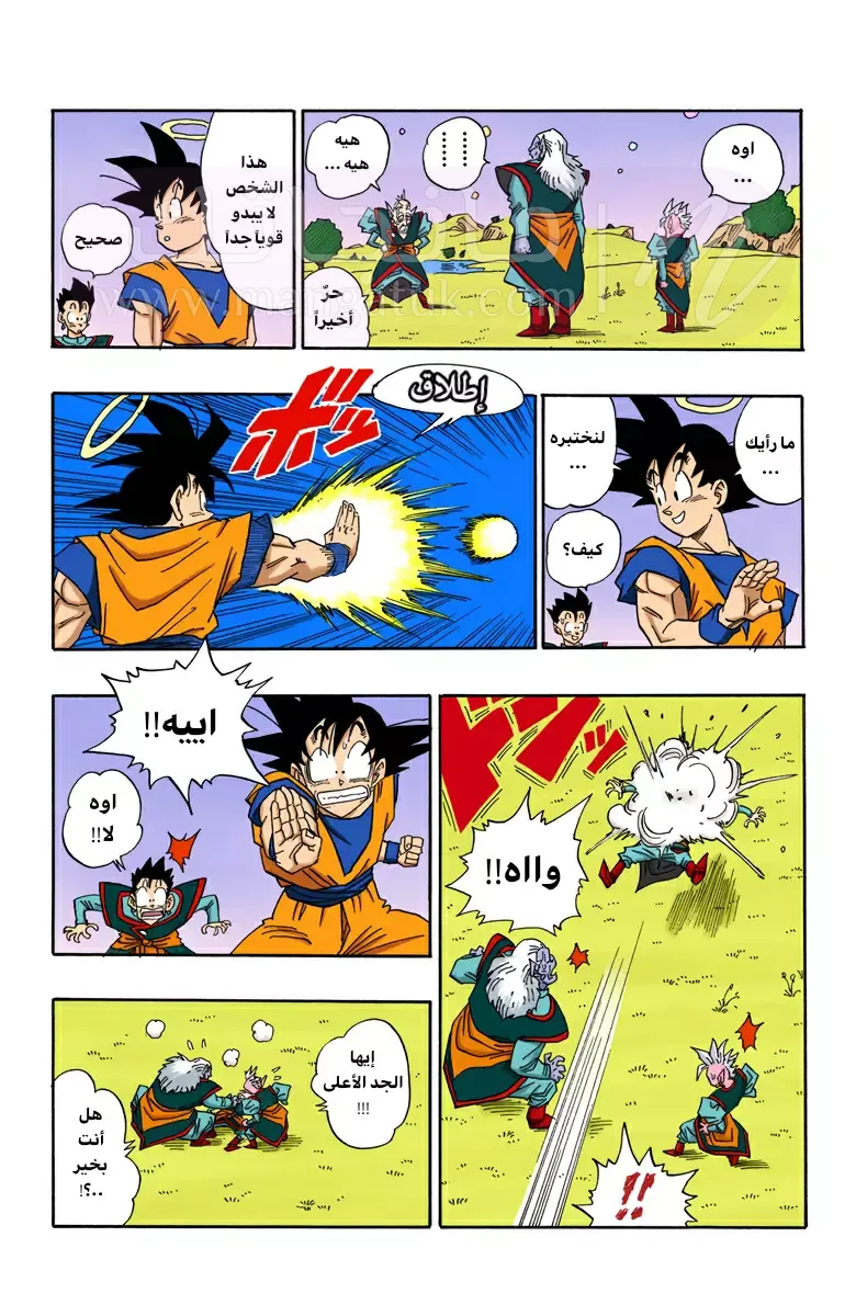 الصفحة 7