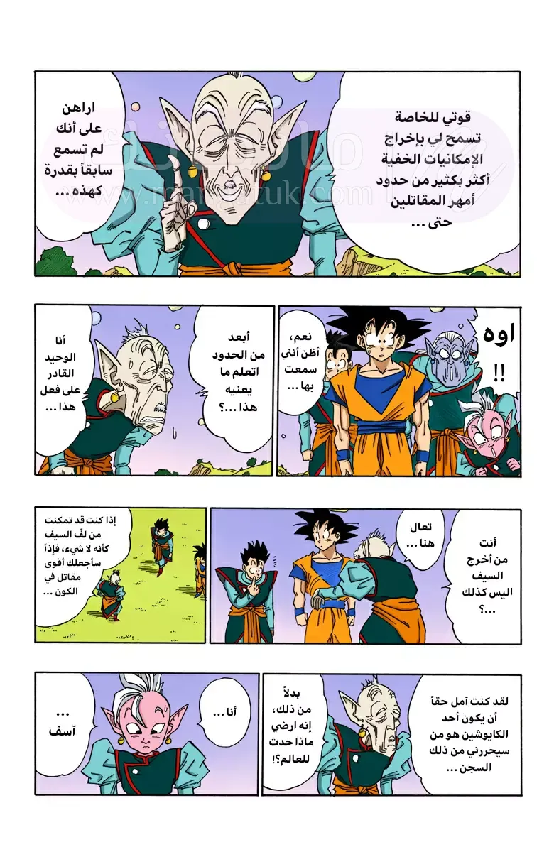 الصفحة 10