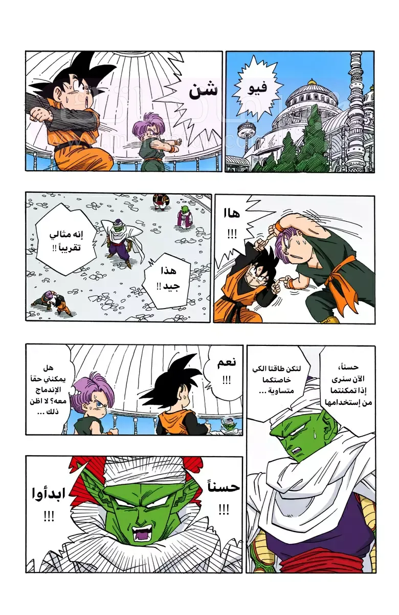 الصفحة 13
