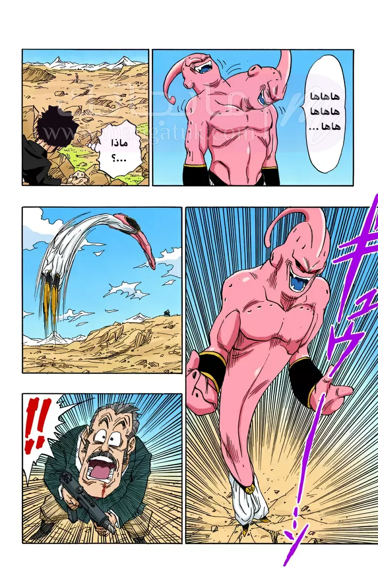 الصفحة 5