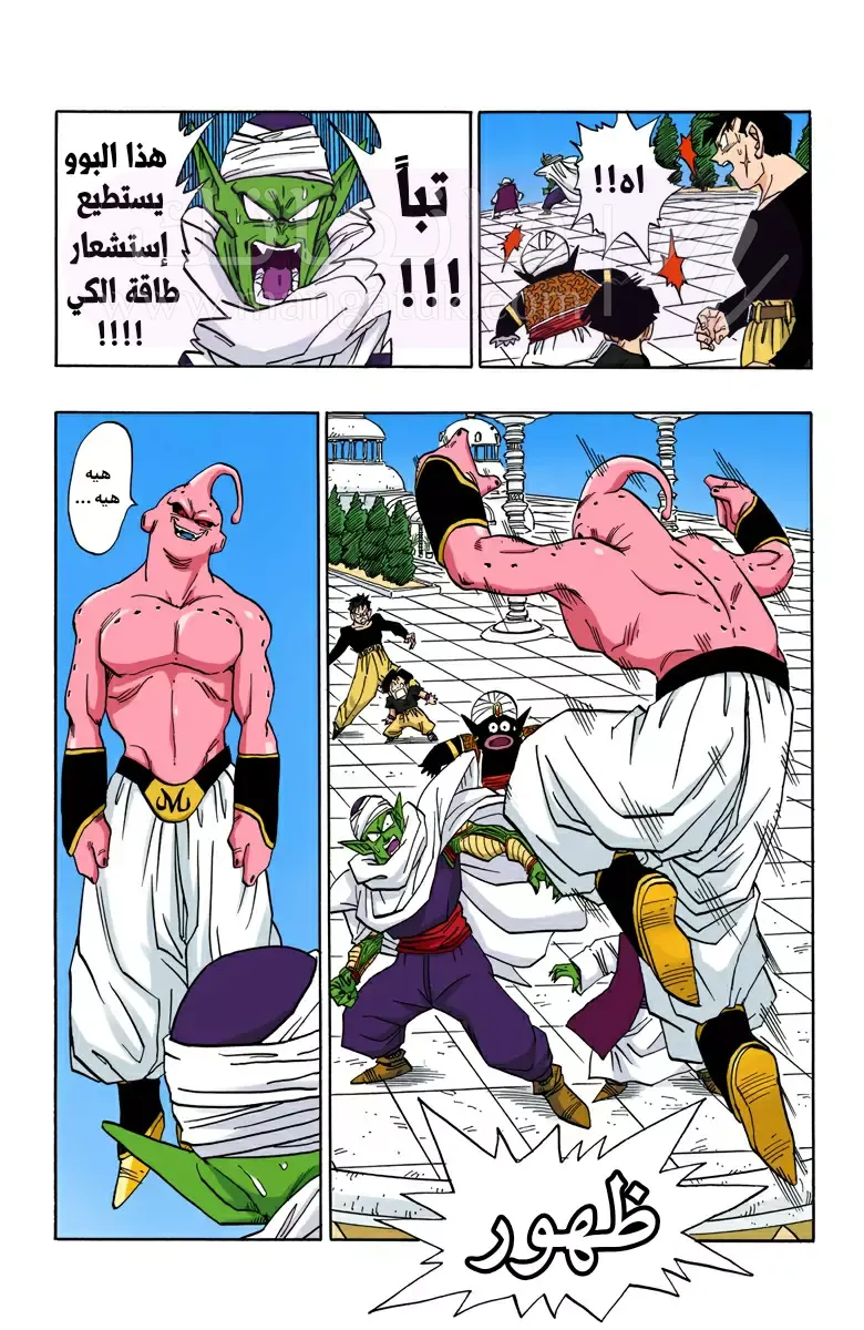 الصفحة 12