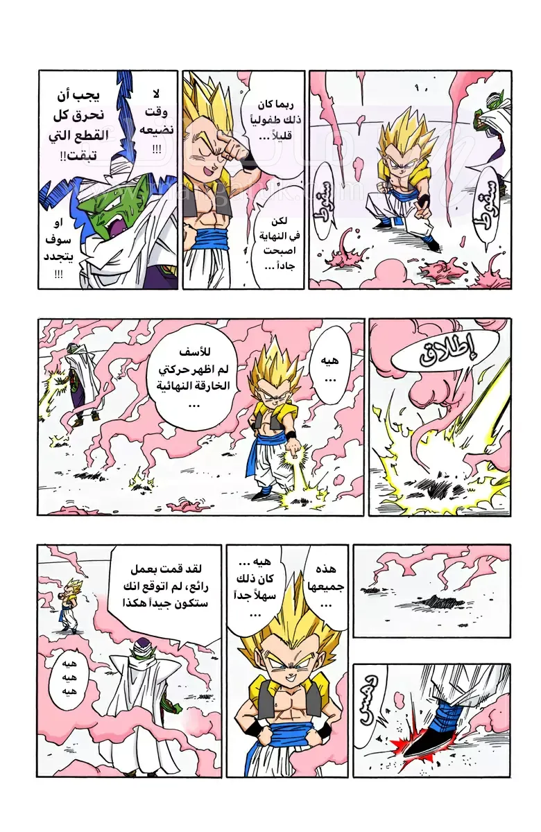 الصفحة 3