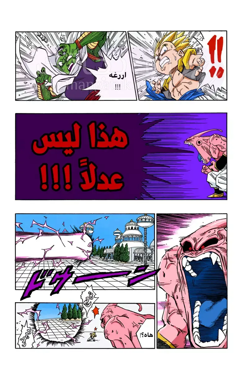 الصفحة 13