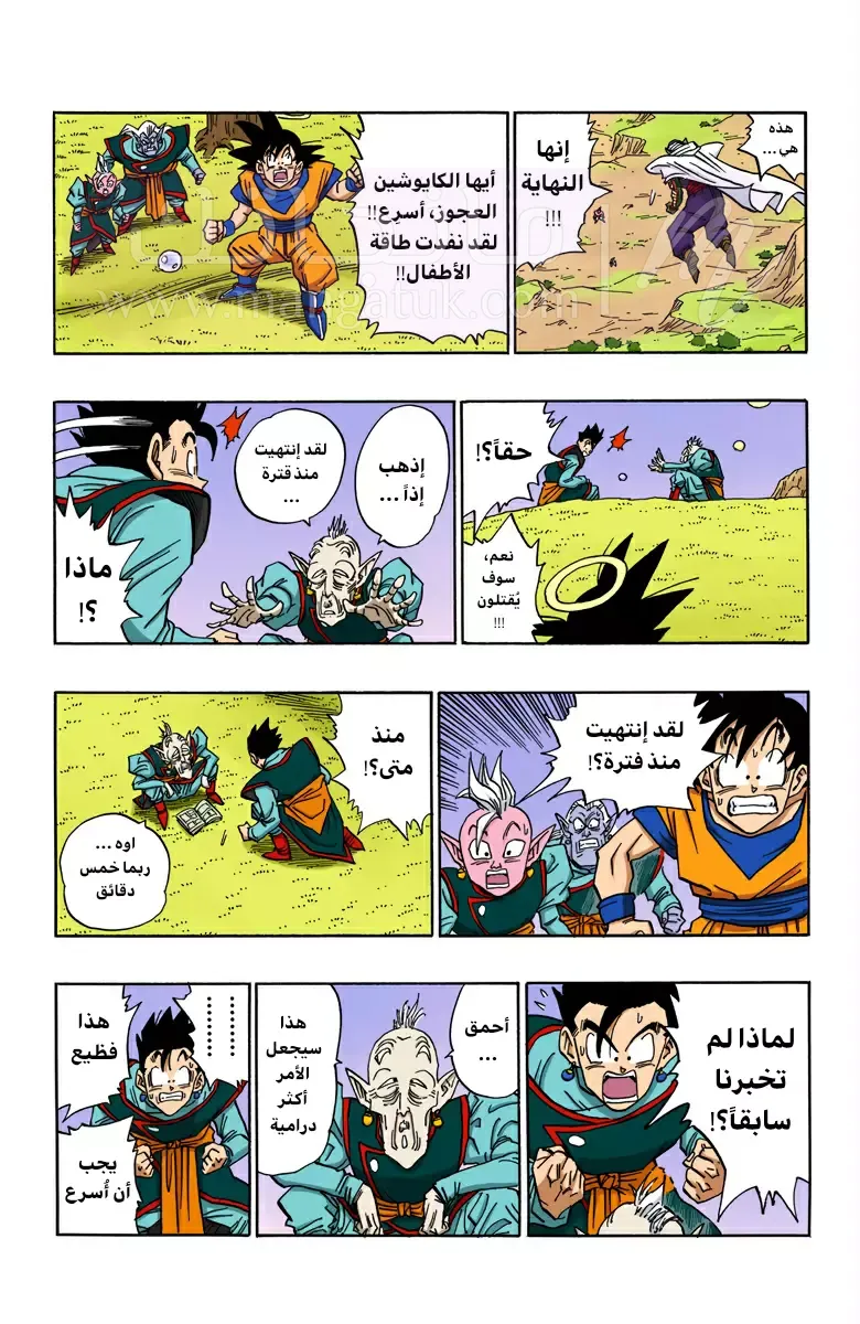 الصفحة 3