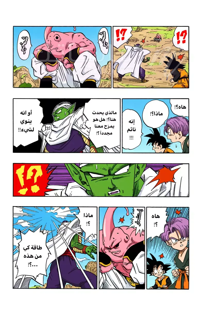 الصفحة 13