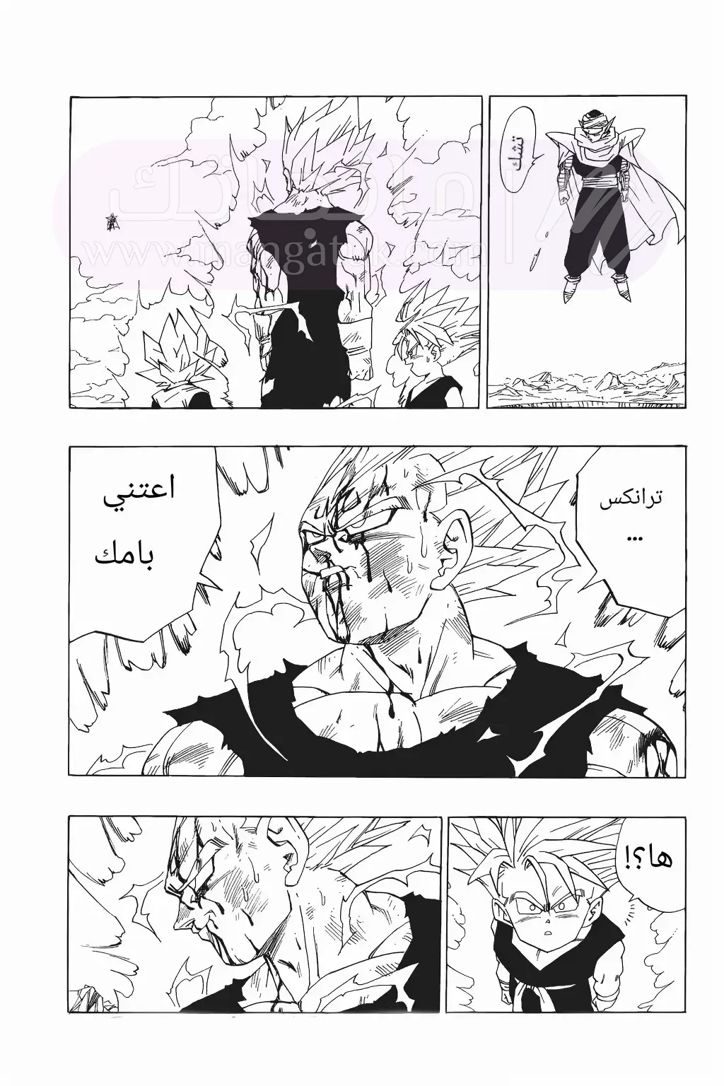 الصفحة 14