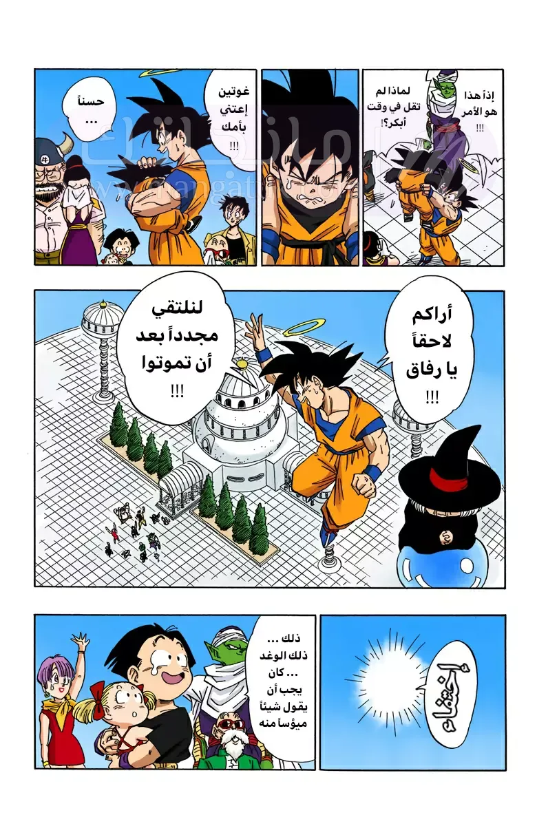 الصفحة 13
