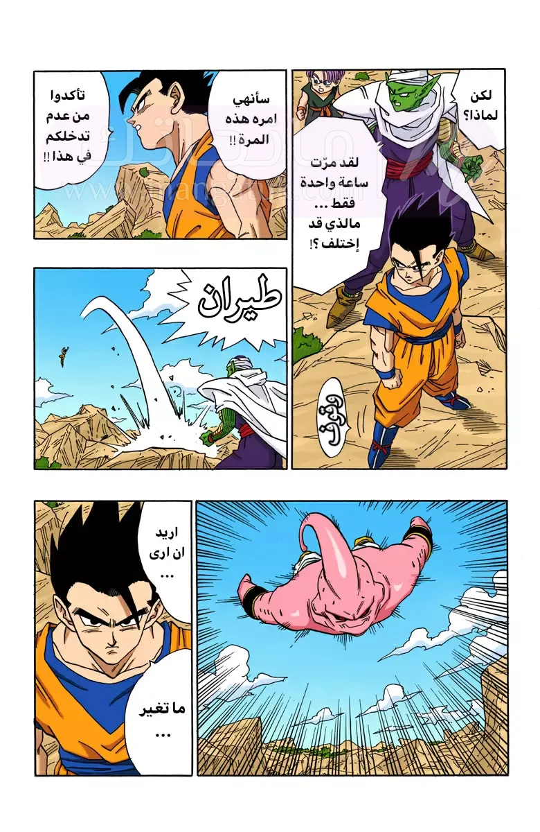 الصفحة 13
