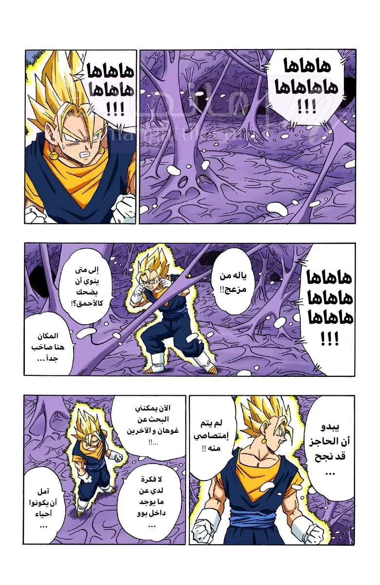 الصفحة 5