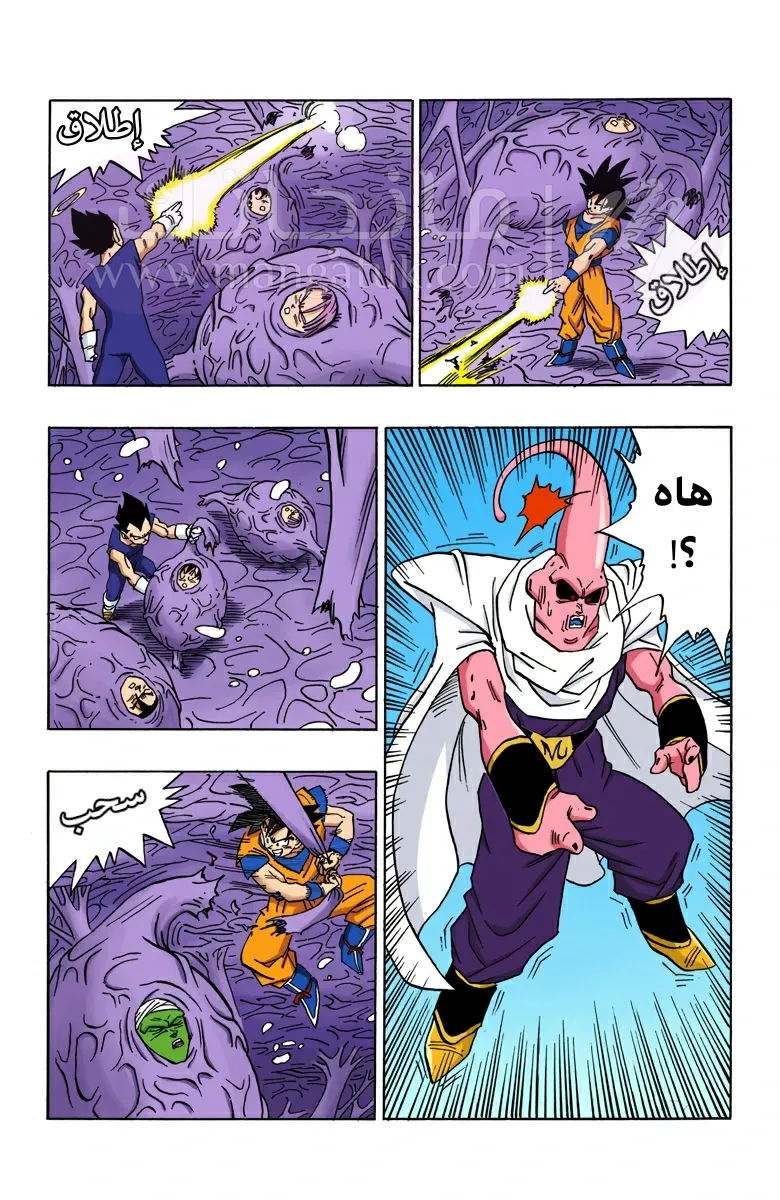 الصفحة 11
