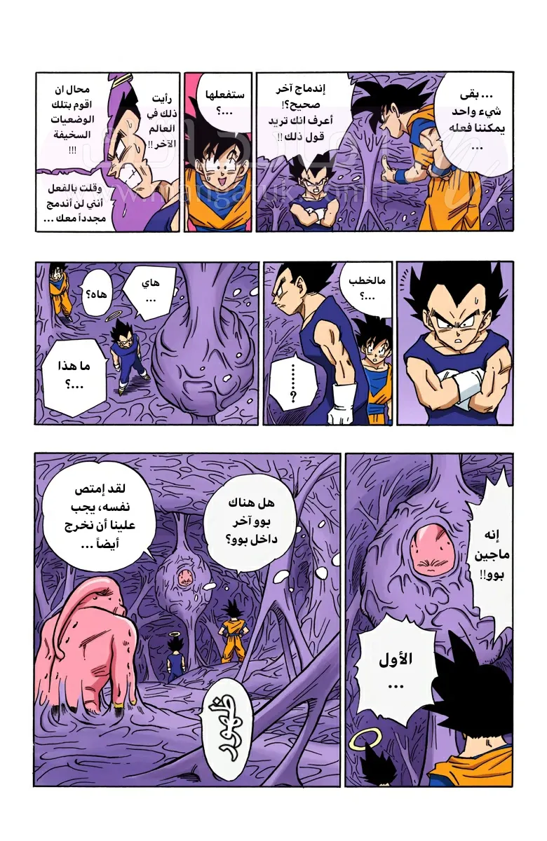 الصفحة 13